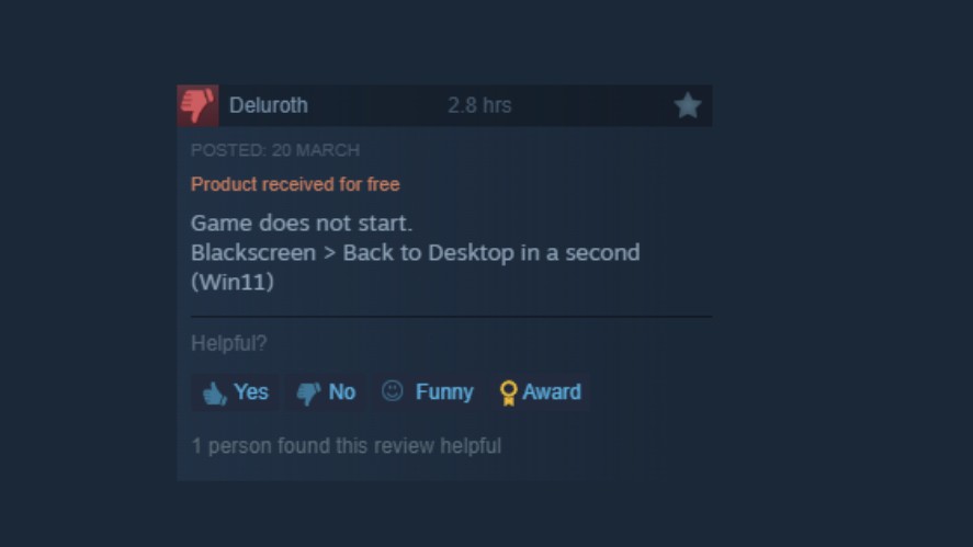 A negative review on Steam about a technical bug
