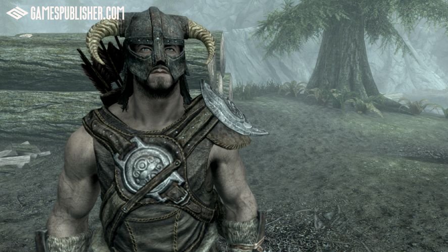 Skyrim dragonborn